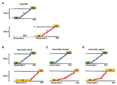Dual-Task Interference in a Simulated Driving Environment: Serial or Parallel Processing?